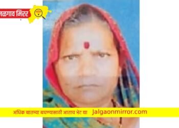 विजेच्या तारांना स्पर्श ; महिलेचा मृत्यू