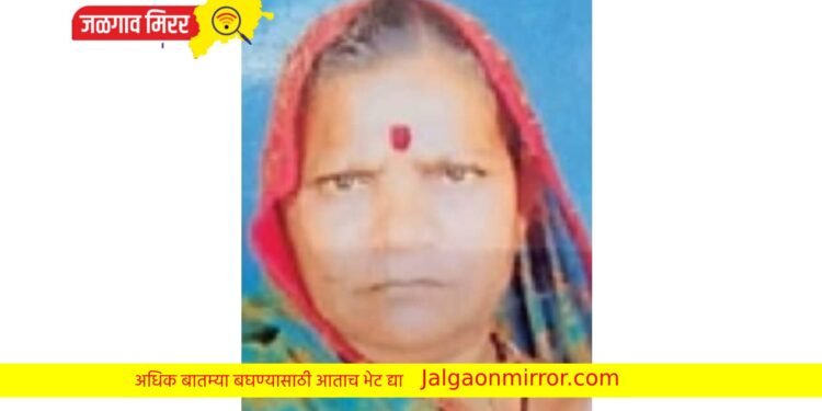 विजेच्या तारांना स्पर्श ; महिलेचा मृत्यू