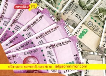 ३३३ रुपये गुंतवा आणि १६ लाख रुपये मिळवा