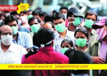 स्वाइन फ्लूच्या आजाराचे डोकेवर ; ११ जणांचा मृत्यू