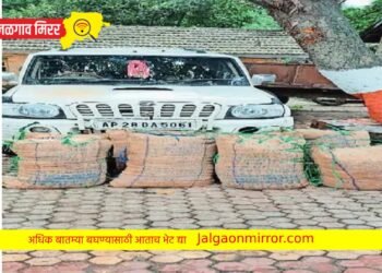 निफाडला पोलीस महानिरीक्षकांच्या पथकाने पकडला १० लाखांचा गांजा !