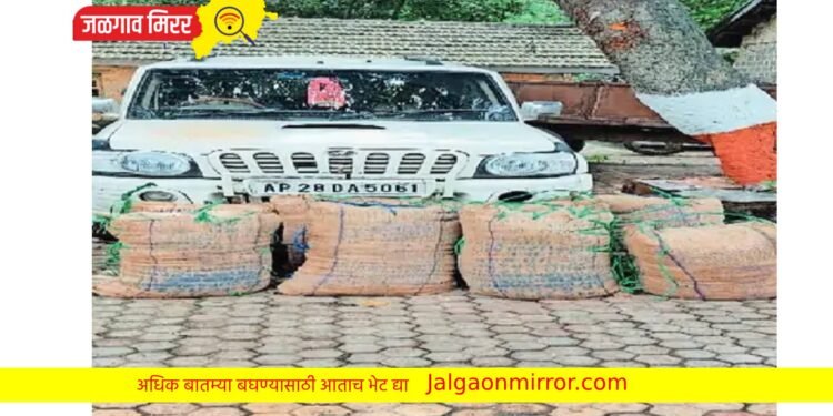 निफाडला पोलीस महानिरीक्षकांच्या पथकाने पकडला १० लाखांचा गांजा !