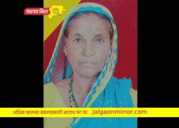 हृदयद्रावक : नाशिकमध्ये नातवाने केला म्हाताऱ्या आजीचा खून