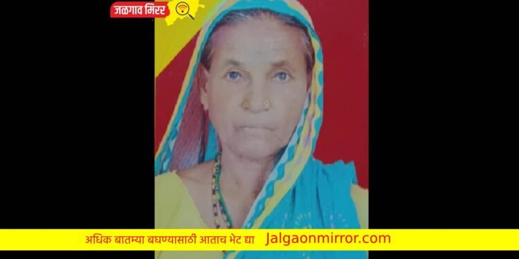 हृदयद्रावक : नाशिकमध्ये नातवाने केला म्हाताऱ्या आजीचा खून