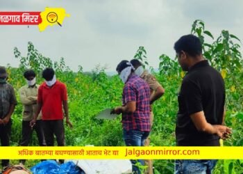 खळबळजनक : मुक्ताईनगरात महिलेचे मिळाले पिशवीत प्रेत