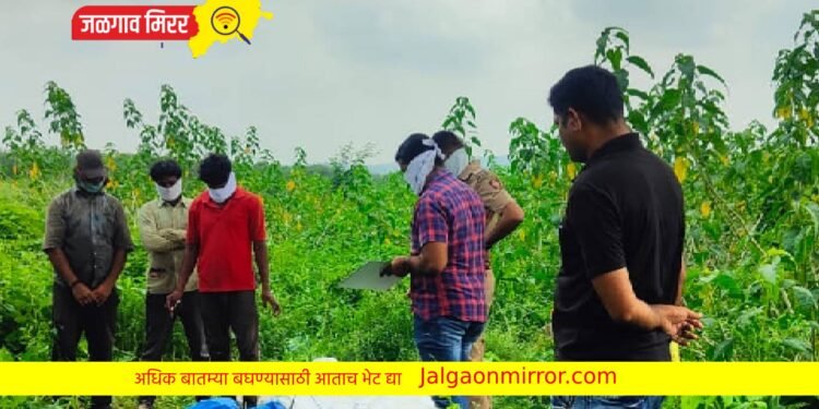 खळबळजनक : मुक्ताईनगरात महिलेचे मिळाले पिशवीत प्रेत