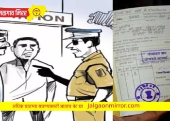 तुमचे उत्पन वाढले तरीही रेशनकार्ड सुरु ; कारवाई नक्की होणार !