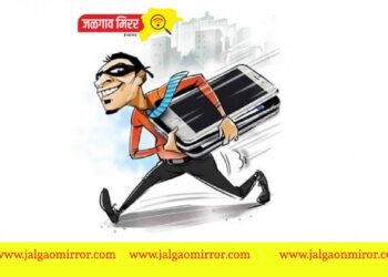 मध्यरात्री घरात घुसून  मोबाईलसह मुद्देमाल नेला चोरून ; पोलिसात गुन्हा दाखल !