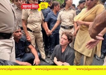 आंदोलनात प्रियंका गांधीना पोलिसांनी नेले फरफटत ; व्हिडिओ व्हायरल