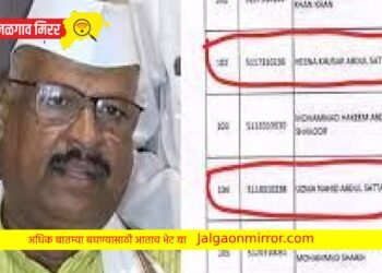 कृषिमंत्री अब्दुल सत्तारांच्या अडचणीत पुन्हा वाढ