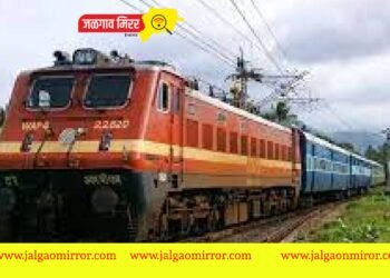 खळजनक : जिल्ह्यात धावत्या प्रवाशाला रेल्वेतून ढकलले