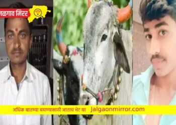 काका पुतण्यासाठी पोळा ठरला शेवटचा दिवस ; गावावर पसरली शोककळा