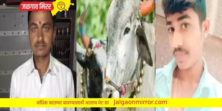 काका पुतण्यासाठी पोळा ठरला शेवटचा दिवस ; गावावर पसरली शोककळा