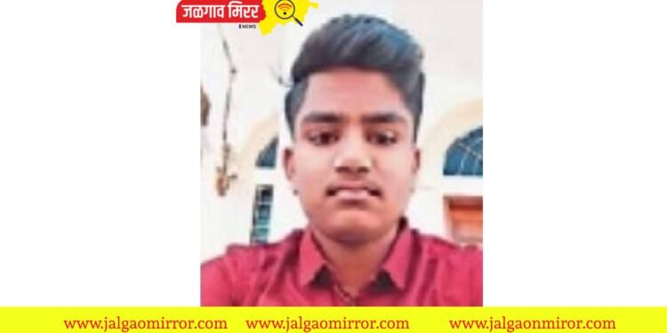 जळगावात घेतला महाविद्यालयात प्रवेश ; २० वर्षीय युवक विजेच्या धक्क्याने मृत्यू