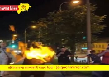 आगीशी खेळणे पडले महागात : व्हिडिओ पाहून बसेल धक्का