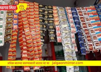 गुटख्याची गाडी पकडली ; चोपडा डीवायएसपींची कारवाई