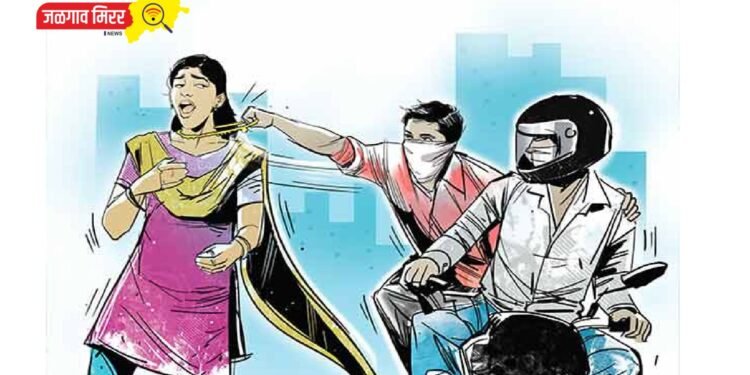 निवृत्त महिला शिक्षिकेची पोत लांबवली ; गुन्हा दाखल