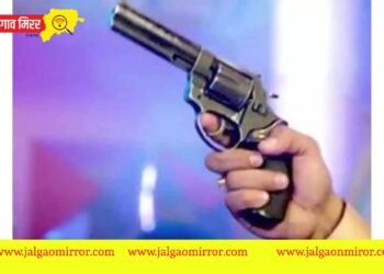 आनंदाच्या भरात हवेत गोळीबार ; ३ चिमुकल्यांना लागली गोळी अन्