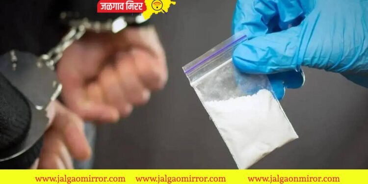 मुबंईत ५० कोटींचे ड्रग्ज ; पोलिसांची मोठी कारवाई