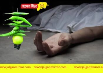 हृदयद्रावक : मायबापाने घेतला पोटच्या ६ वर्षीय लेकीचा बळी