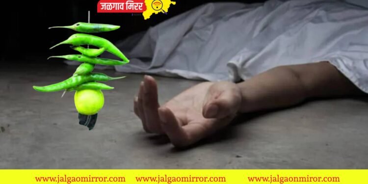 हृदयद्रावक : मायबापाने घेतला पोटच्या ६ वर्षीय लेकीचा बळी