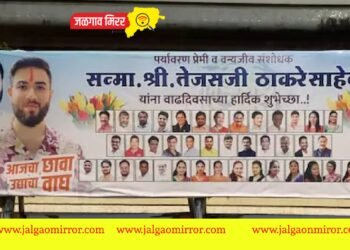 ‘आजचा छावा, उद्याचा वाघ’ ; शिवसेनेची बॅनरबाजी