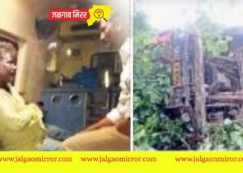 भीषण अपघात : १०० फूट दरीत कोसळला ट्रक ; चालक जागीच ठार