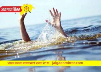 वयोवृद्ध पती-पत्नीने पुलावरुन उडी घेत संपविले जीवन