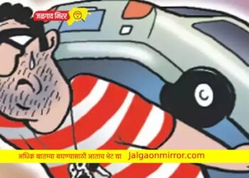 अरेच्या चोरटयाची मजल चारचाकीवर…