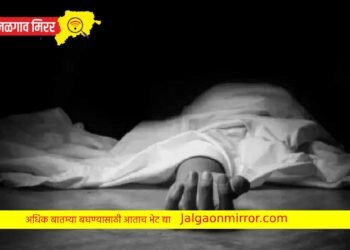 बहिणीची भेट ठरली अखेरची ; वृद्धाने संपविली जीवनयात्रा