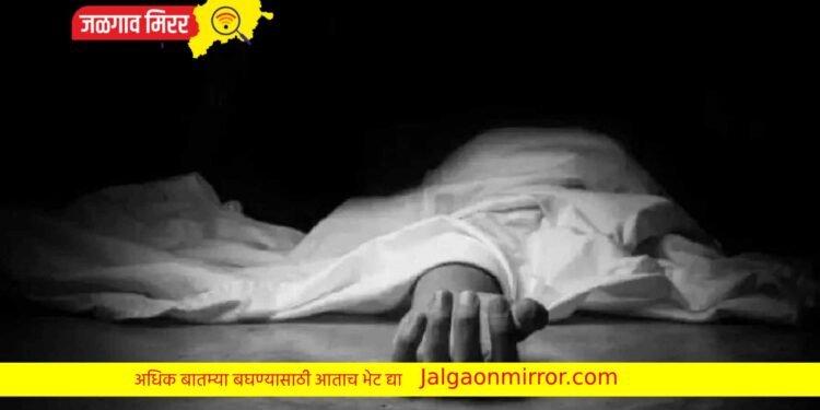 बहिणीची भेट ठरली अखेरची ; वृद्धाने संपविली जीवनयात्रा