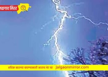चाळीसगावात वीज पडून बापलेकाचा दुर्देवी मृत्यू