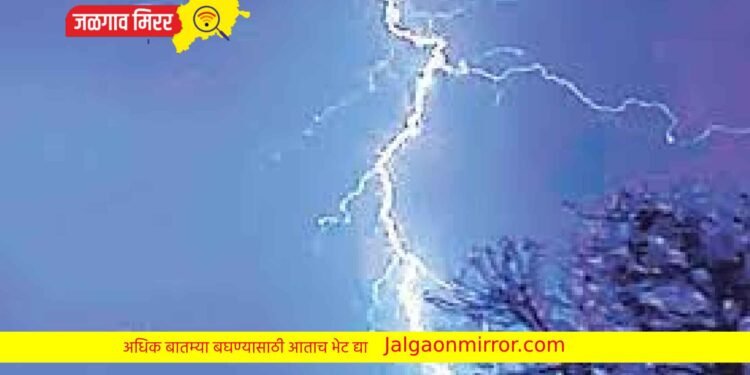चाळीसगावात वीज पडून बापलेकाचा दुर्देवी मृत्यू