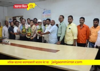 श्री गणेश विसर्जन मिरवणुकीत महावितरणची अविरत सेवा