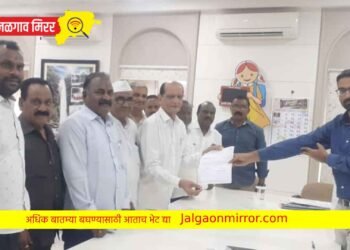 जिल्हात पावसामुळे झालेल्या पिकांचे पंचनामे त्वरित करा