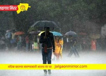 जिल्हा प्रशासनाचा सतर्कतेचा इशारा : येत्या ३ दिवसात वादळी वाऱ्यांसह मुसळधार पाऊस पडणार !