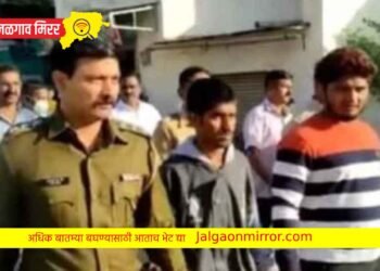 दाऊद इज बॅक : गावठी कट्ट्याच्या धाकावर सासरवाडीत जबरी चोरी