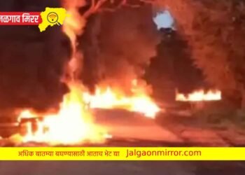 ट्रक व दुचाकीचा अपघात : पतीच्या डोळ्यादेखत पत्नीचा मृत्यू