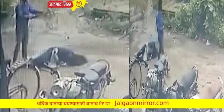 तिने केले जीवापाड प्रेम.. मात्र तरुणाने तिच्यावर केला गोळीबार अन तो ही….