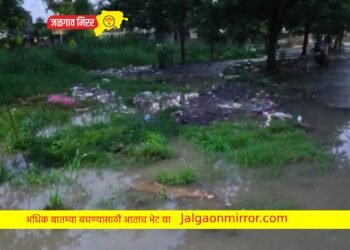 निंभोरा बु.नागरिकांचे आरोग्य धोक्यात ; ग्रामपंचायत सुस्तावली