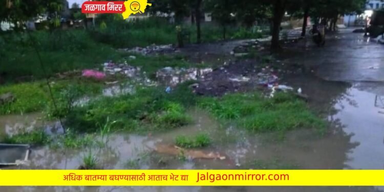 निंभोरा बु.नागरिकांचे आरोग्य धोक्यात ; ग्रामपंचायत सुस्तावली