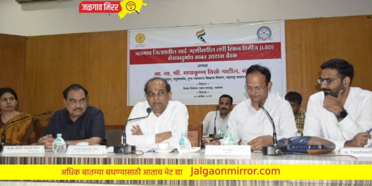 लम्पि चर्मरोग आढावा बैठक : जनावरांच्या लसीकरणाला प्राधान्य देण्याचे पशुसंवर्धन मंत्री राधाकृष्ण विखे पाटील यांचे निर्देश