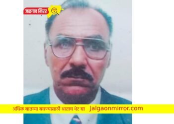 वृद्धाचा विजेच्या धक्क्याने मृत्यू