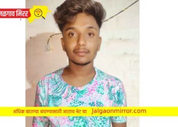 ‘त्या’ चोरी प्रकरणी ; एक तरुण अटकेत
