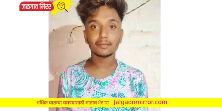 ‘त्या’ चोरी प्रकरणी ; एक तरुण अटकेत