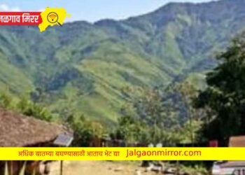 आश्चर्यम…’या’ गावातील घरांचे स्वयंपाकघर भारतात तर बेडरूम दुसऱ्या देशात