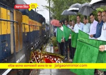 ऐकावं ते नवल ! खास डासांसाठी चालवली जाते आहे ही स्पेशल ट्रेन ; पाहा VIDEO