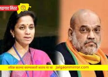 “अमित शाह खरं बोलतात, माझा त्यांच्यावर विश्वास” ; सुप्रिया सुळे