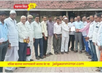 ओला दुष्काळ जाहीर करून पिक पेरा नोंदणी करा