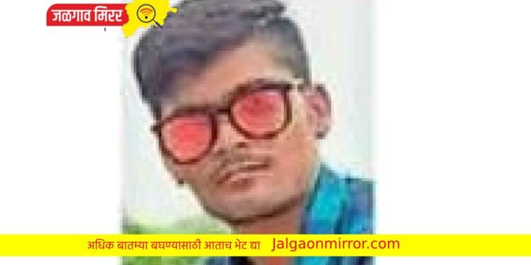 ट्रॅक्टरखाली आल्याने तरुण जागीच ठार